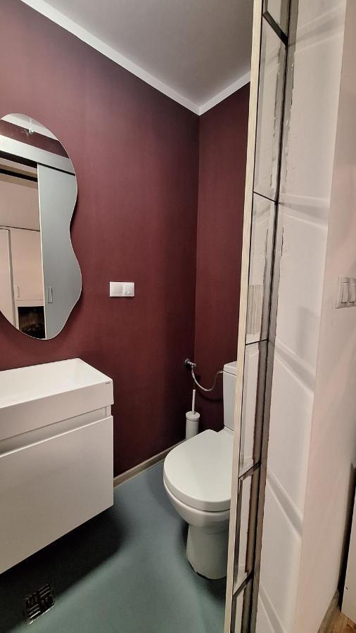 Swanhome - Central Apartment คลูจ-นาโปกา ภายนอก รูปภาพ
