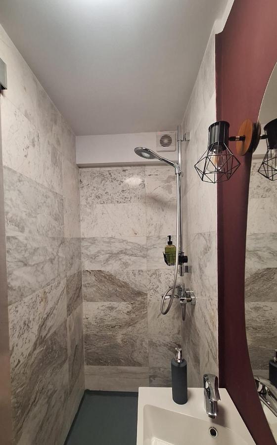 Swanhome - Central Apartment คลูจ-นาโปกา ภายนอก รูปภาพ
